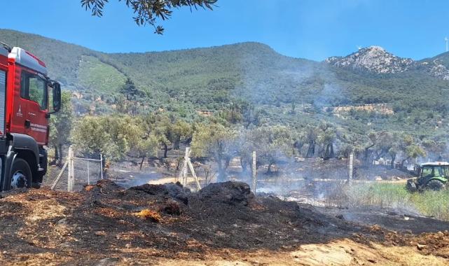 İzmir İtfaiyesi üç noktada yangınlara müdahale etti