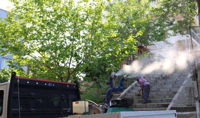 İzmir Karabağlar’da haşerelere karşı ilaçlama seferberliği 