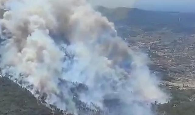 İzmir Menderes’te orman yangını… Havadan ve karadan müdahale sürüyor