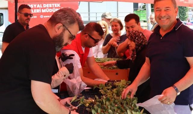 İzmit’ten vatandaşa ücretsiz fide desteği