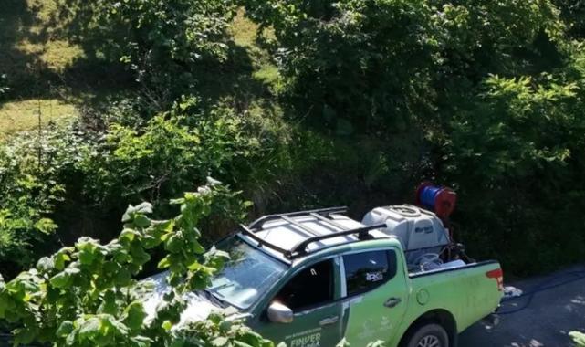 Kahverengi kokarca FINVER bahçelerinde takip altında