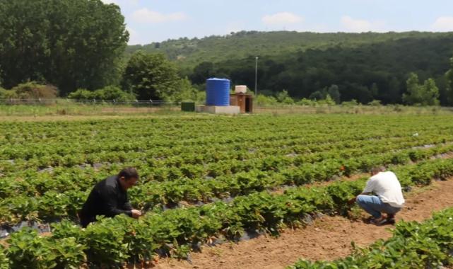 Kocaeli İzmit’te genç girişimcilere destek