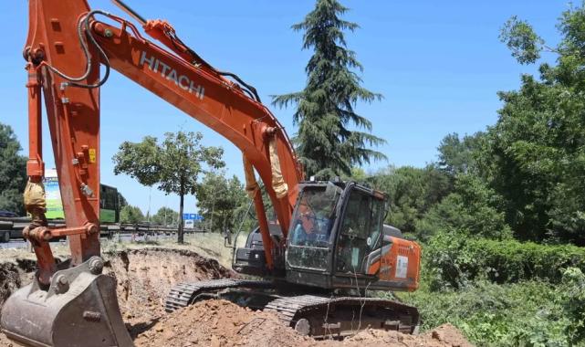 Kocaeli’de sökülen ağaçlar geleceğe taşınıyor