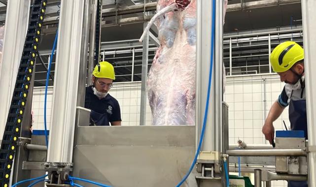 Kocaeli’den uyarı… Sakatatları açık halde çöpe atmayın