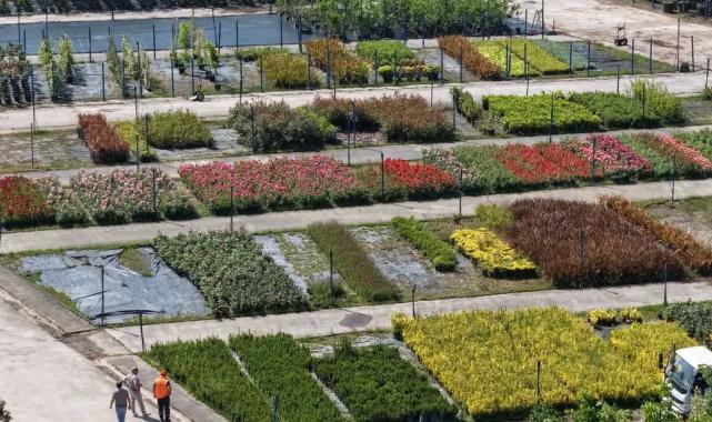 Kocaeli’yi yeşillendiren fidanlık