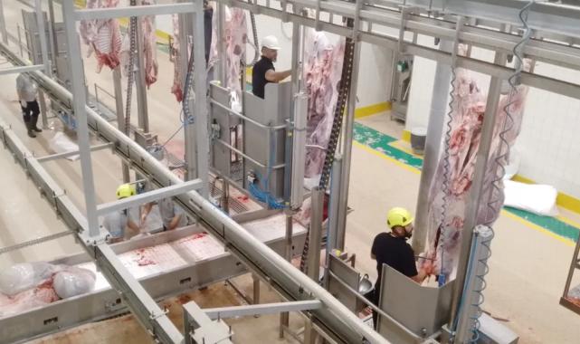 Kurbanlar Kocaeli’nin modern mezbahasında kesiliyor