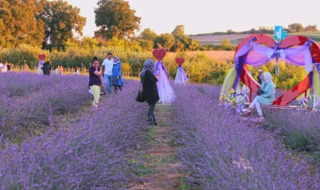 Lavanta kokusu İzmit’i saracak