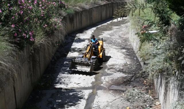 Manisa’da Bozköy Deresi hayat buluyor