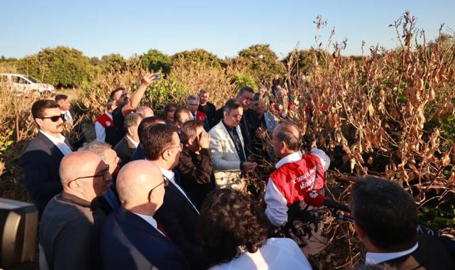 Mersin’de narenciye bahçelerine ‘zirai don’ incelemesi