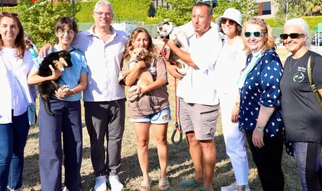 Mudanya Belediyesi 47 can dostu sahiplendirdi