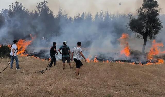 Muğla Büyükşehir ekipleri 6 Ayda 380 anız yangınına müdahale etti