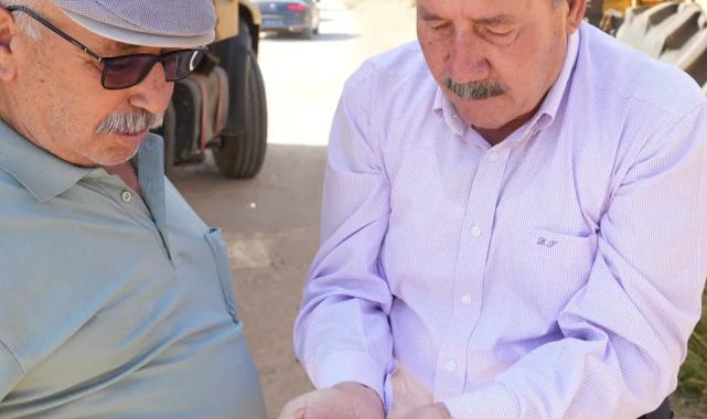 Muğla Milas Belediyesi karakılçık buğday hasadı gerçekleştirdi