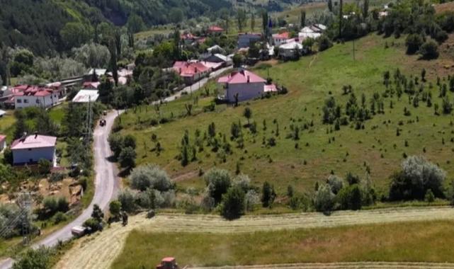 Ordu’da tarıma makine gücü