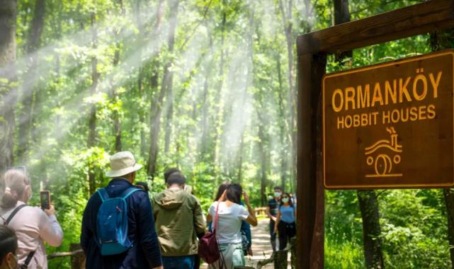 Ormanya’da yaz hazırlıkları tamam