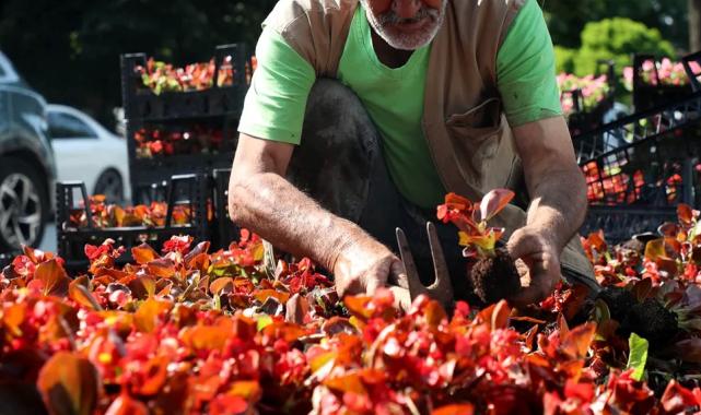 Sakarya sokaklarına güzellik katan ‘bayram’ dokunuşu