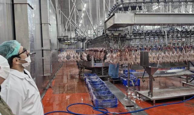 Sakarya’da kanatlı hayvan işletmelerine sıkı denetim