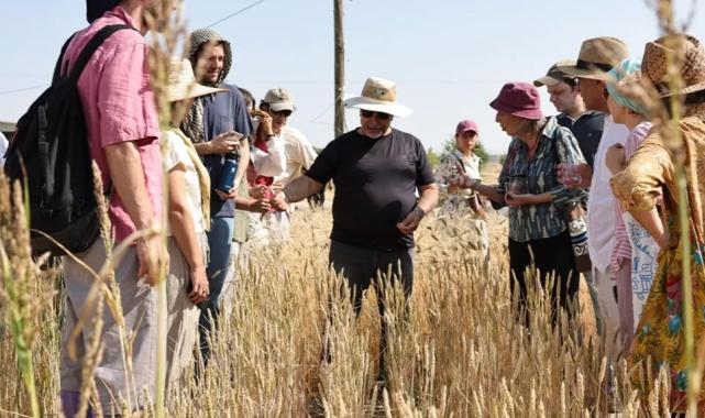 Slow Wheat Şanlıurfa 2025 coşkusu