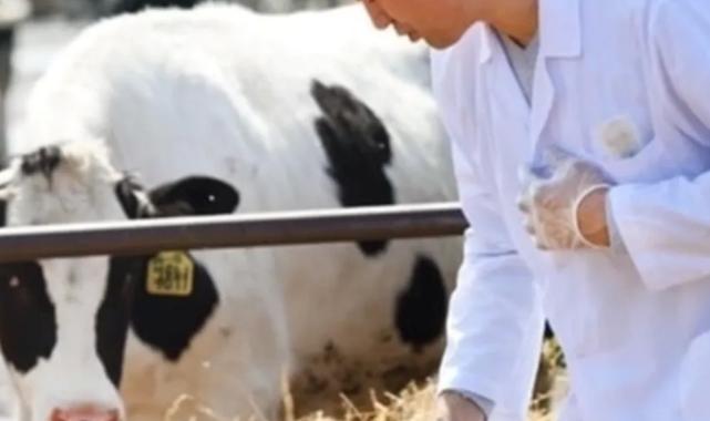 Tarımsal girdiler Nisan’da da hız kesmedi… Veteriner harcamaları ve hayvan yemi  revaçta