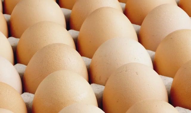 A sınıfı yumurtalarda ‘tüketim tarihi’ zorunluluğu… Türk Gıda Kodeksi Yumurta Tebliği’nde değişiklik