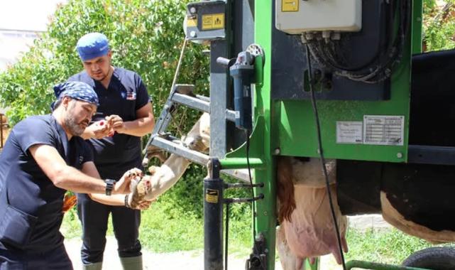 Antalya Büyükşehir’den çobanlara destek