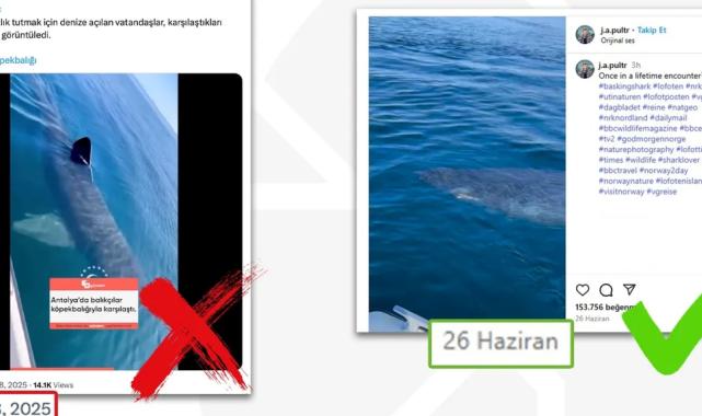Antalya’da köpekbalığı iddiası dezenformasyon çıktı… DMM: O video Norveç’ten!