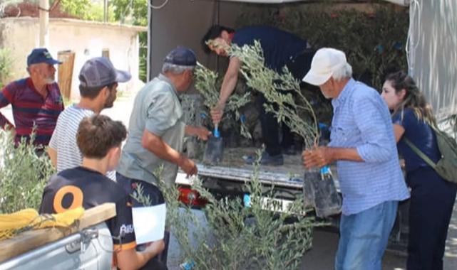Antalya’nın 19 ilçesine 40 bin zeytin fidanı desteği