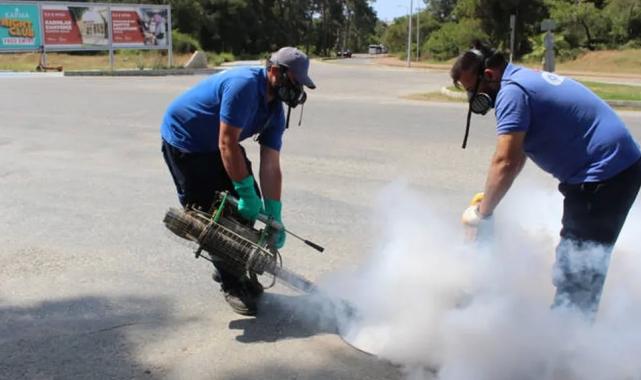 Antalya’nın tüm ilçelerinde haşereyle mücadele sürüyor