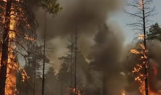 Bakan Yumaklı’dan orman yangını uyarısı: Yeşil Vatan’ı hep birlikte koruyalım