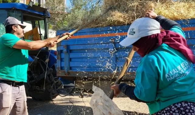 Balıkesir Ayvalık’ta güzellikler, emeğe değer veren insanlarla büyüyor