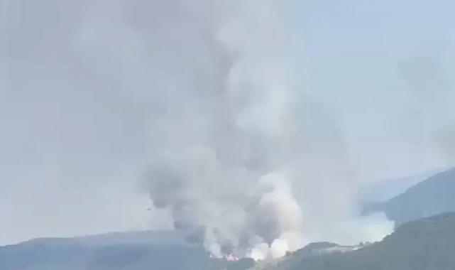 Balıkesir Sındırgı’da orman dışı alanda yangın!