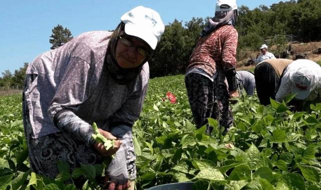 Balıkesirli üreticinin yüzünü Büyükşehir güldürdü