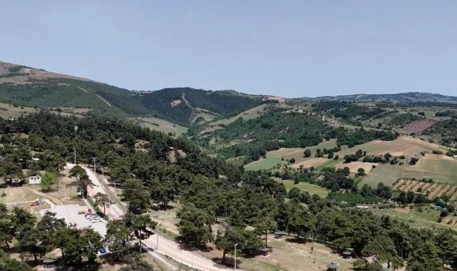 Başkan Ercan Özel: Gönül rahatlığıyla Kozdere Çamlığı’nda piknik yapılabilir