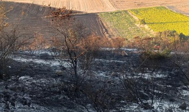 Bursa Karacabey’de orman yangını: 500 dönüm zarar gördü
