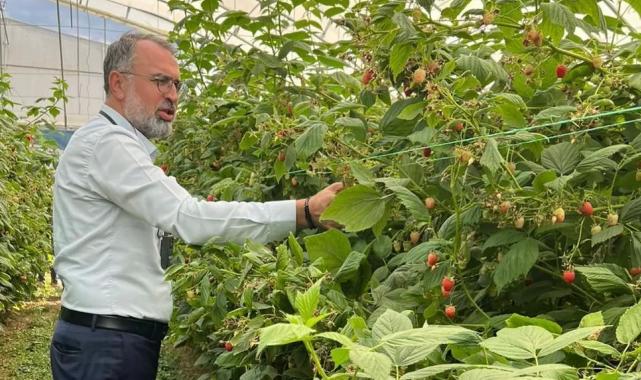 Bursa Kestel ve Gürsu’dan Sırbistan’a tarım çıkarması