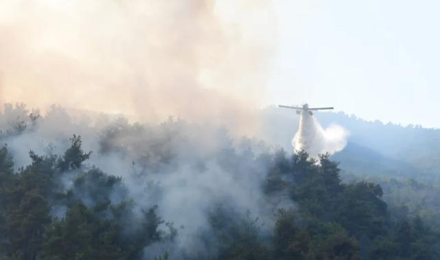 Bursa Kestel’de 2 günde kontrol altına alınan yangının soğutması 5 gün daha sürecek