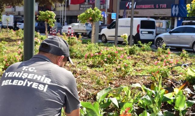 Bursa Yenişehir’in kalbi çiçek açtı