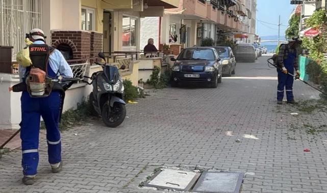 Bursa’da Gemlik Belediyesi’nden Kumla’ya yaz temizliği desteği