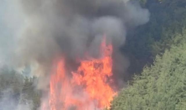 Bursa’da orman yangını güncel durum: Alevler yeniden şiddetlendi, çalışmalar sürüyor