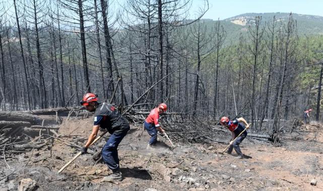 Bursa’da orman yangınlarına OSAD’dan koordineli müdahale