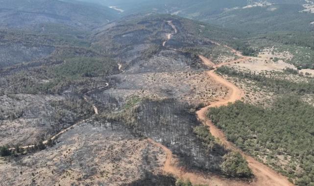 Bursa’da yanan ormanlar yeniden yeşerecek… 11 Kasım’da fidan dikimine davet
