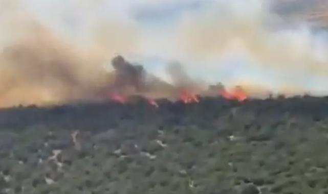 Bursa’da yangın alarmı: Gölyazı ve Akçalar’da müdahale sürüyor