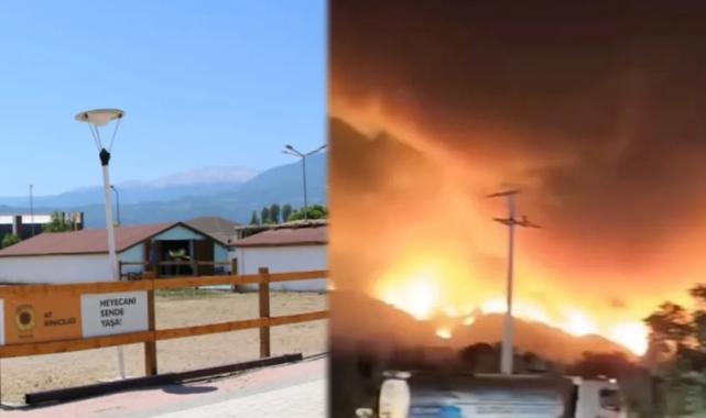 Bursa’da yangından etkilenen hayvanlara el açtılar