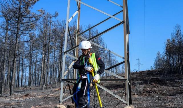 Bursa’daki yangın bölgesinde enerji hatları onarılıyor