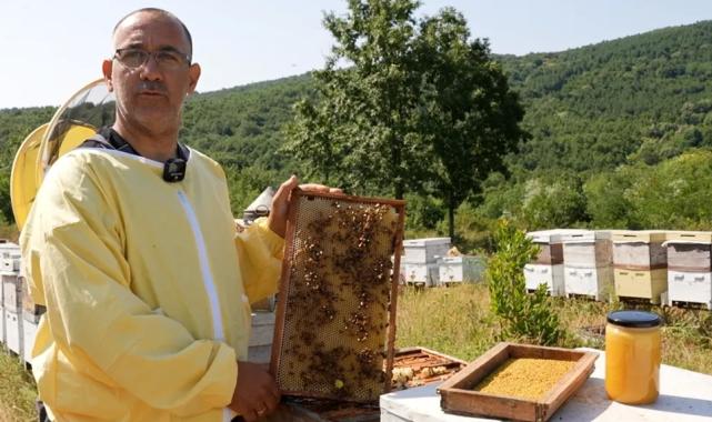 Coğrafi işaretli ‘Yalova Kestane Balı’ sofralarda parlıyor