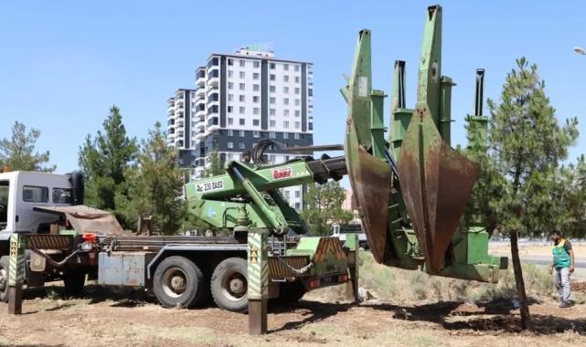 Diyarbakır’dan ağaçlara saygı duruşu