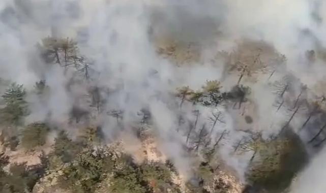 Eskişehir’de orman yangını… Müdahale sürüyor