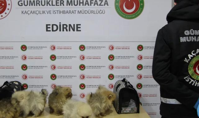 Gümrüklerde yılın ilk yarısında 35,5 milyar TL’lik kaçak eşya yakalandı