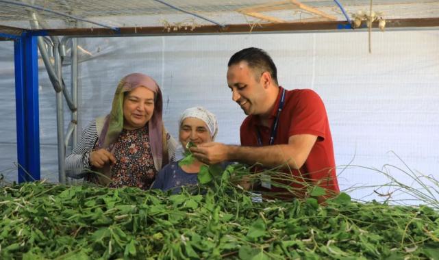 İpekböcekçiliği yeniden doğuyor! Ata mirasına modern dokunuş
