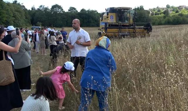İstanbul Şile’de keten hasadı gerçekleştirildi 
