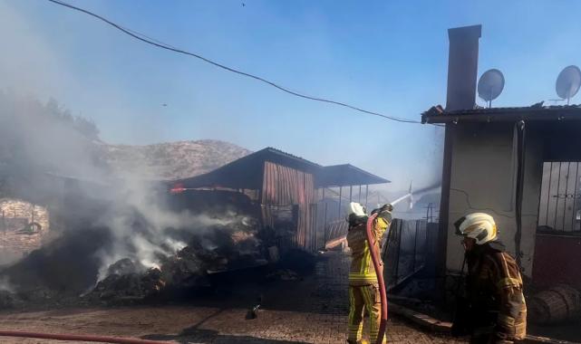 İzmir Bayındır’da ot yangını yerleşimi tehdit etti… 100 kişi tahliye edildi